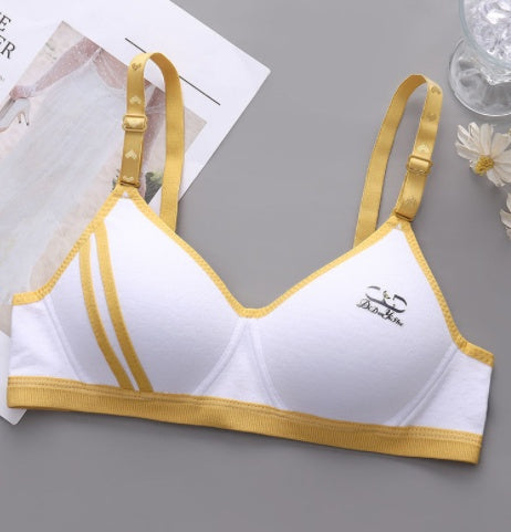 Japanese Style Small Chest Push Up Bra - Leverage On Heroes Women Store